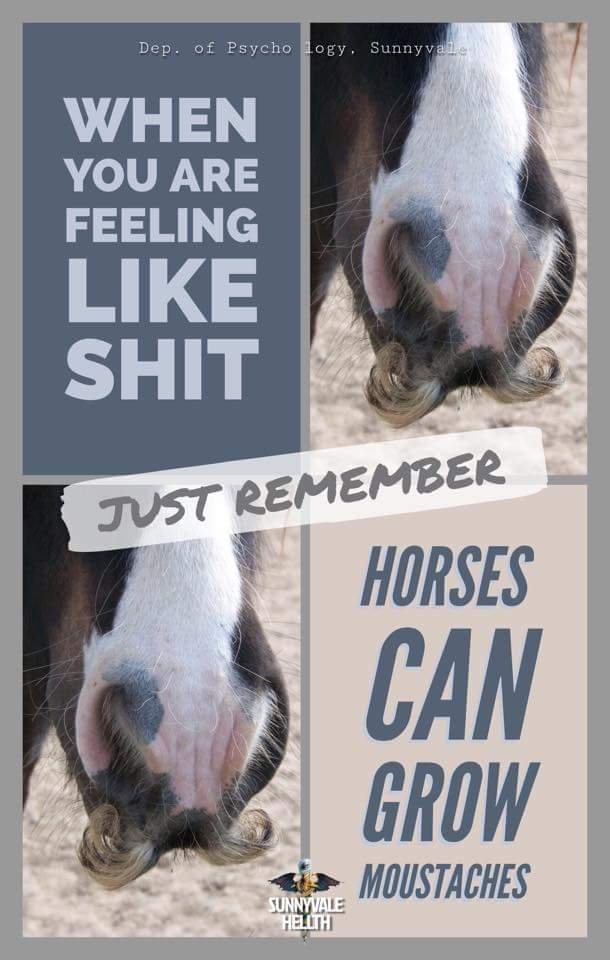 Bildschirmarbeiter - Picdump 29.09.2017