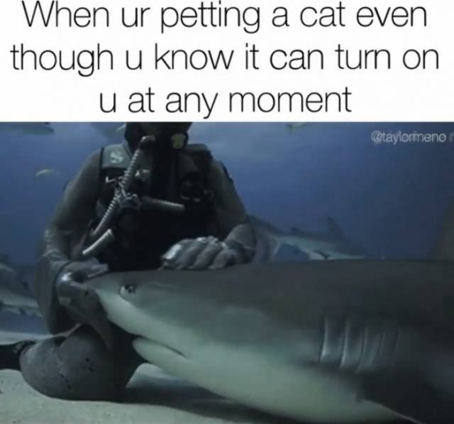 Bildschirmarbeiter - Picdump 29.09.2017