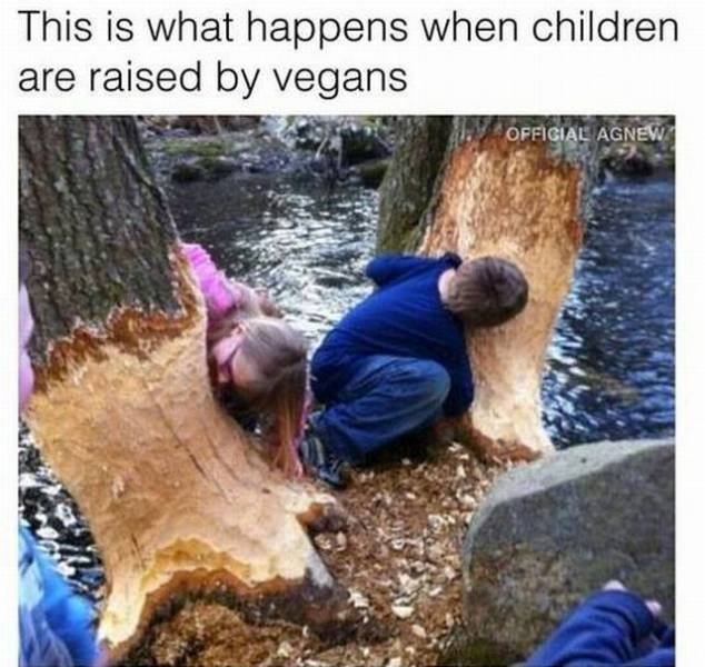 Bildschirmarbeiter - Picdump 29.09.2017