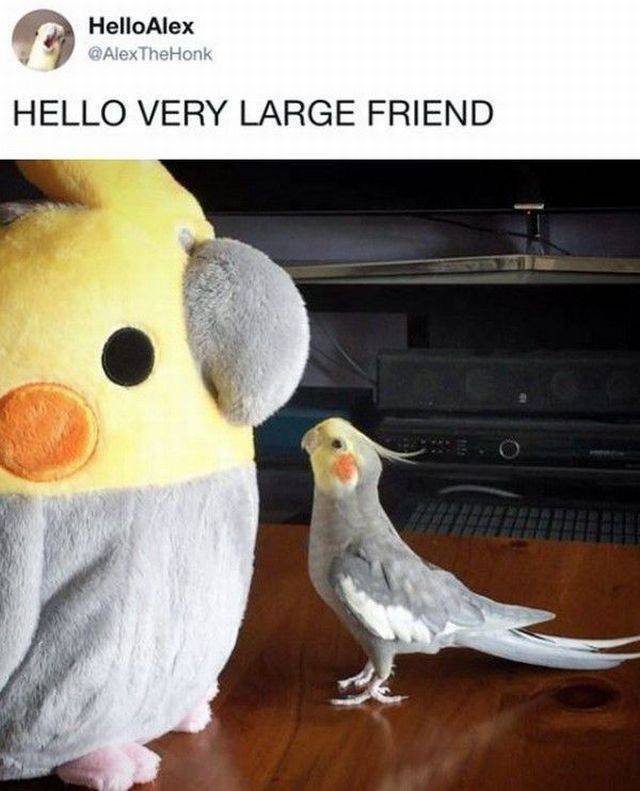 Bildschirmarbeiter - Picdump 29.09.2017