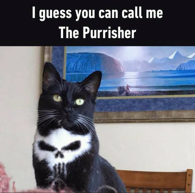 Bildschirmarbeiter - Picdump 29.09.2017