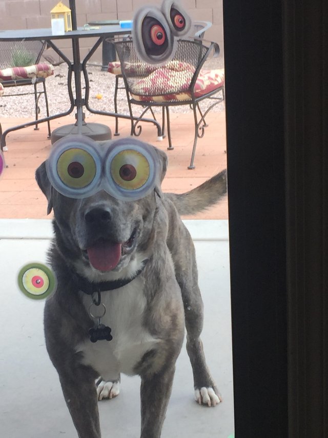 Bildschirmarbeiter - Picdump 29.09.2017