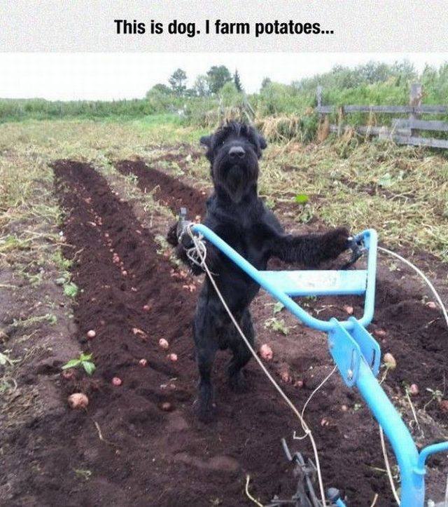 Bildschirmarbeiter - Picdump 29.09.2017