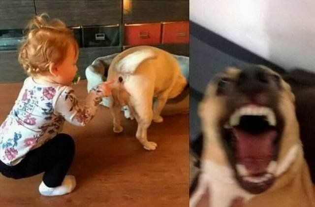 Bildschirmarbeiter - Picdump 06.10.2017