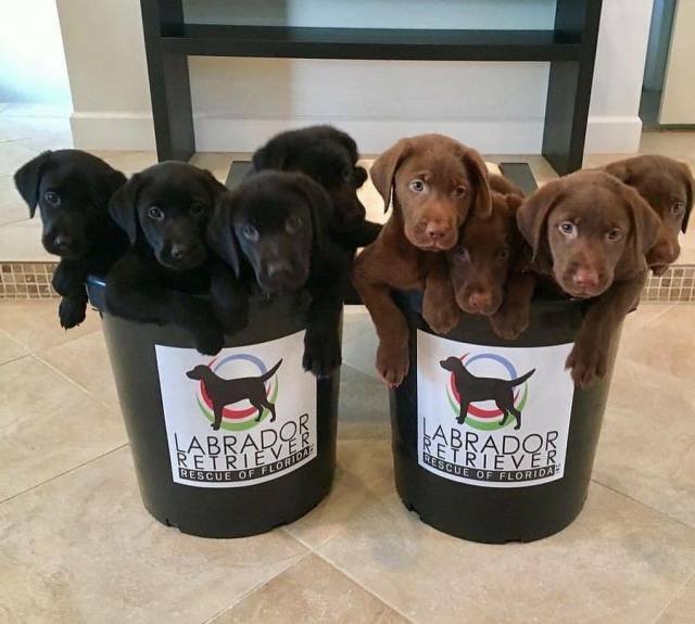 Bildschirmarbeiter - Picdump 06.10.2017