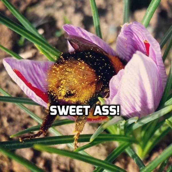 Bildschirmarbeiter - Picdump 06.10.2017