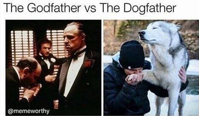 Bildschirmarbeiter - Picdump 06.10.2017