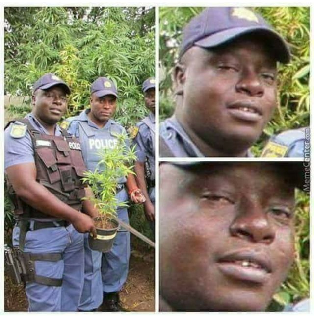 Bildschirmarbeiter - Picdump 20.10.2017 - Nachschlag