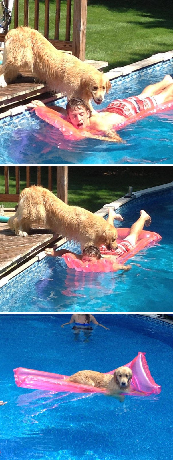 Bildschirmarbeiter - Picdump 20.10.2017 - Nachschlag