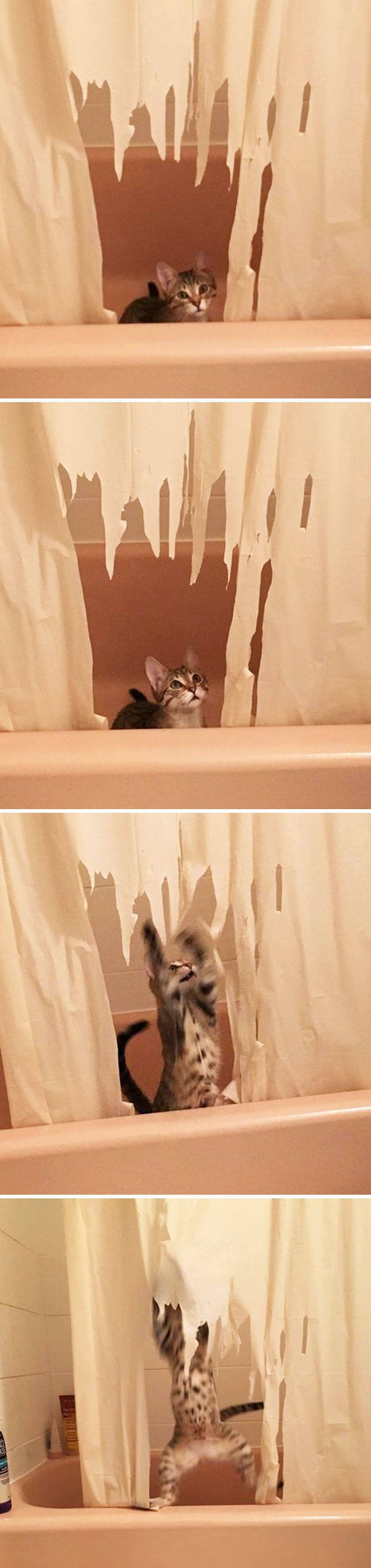 Bildschirmarbeiter - Picdump 20.10.2017 - Nachschlag