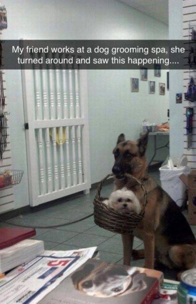 Bildschirmarbeiter - Picdump 20.10.2017 - Nachschlag