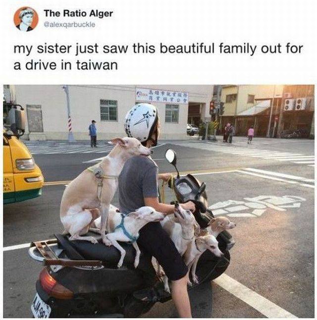 Bildschirmarbeiter - Picdump 20.10.2017 - Nachschlag