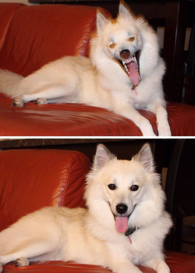 Bildschirmarbeiter - Picdump 20.10.2017 - Nachschlag