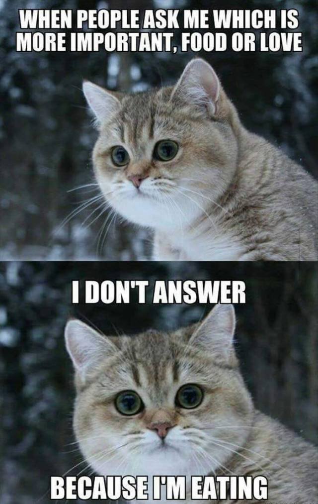 Bildschirmarbeiter - Picdump 20.10.2017 - Nachschlag