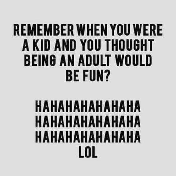 Bildschirmarbeiter - Picdump 20.10.2017 - Nachschlag