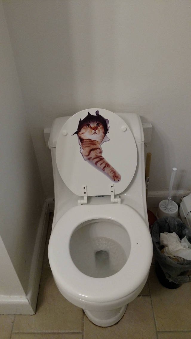 Bildschirmarbeiter - Picdump 20.10.2017 - Nachschlag