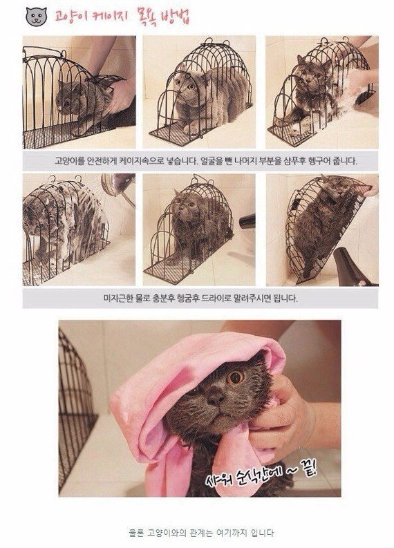 Bildschirmarbeiter - Picdump 20.10.2017 - Nachschlag