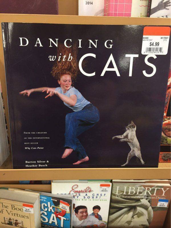 Bildschirmarbeiter - Picdump 20.10.2017 - Nachschlag