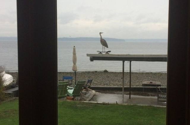 Bildschirmarbeiter - Picdump 20.10.2017