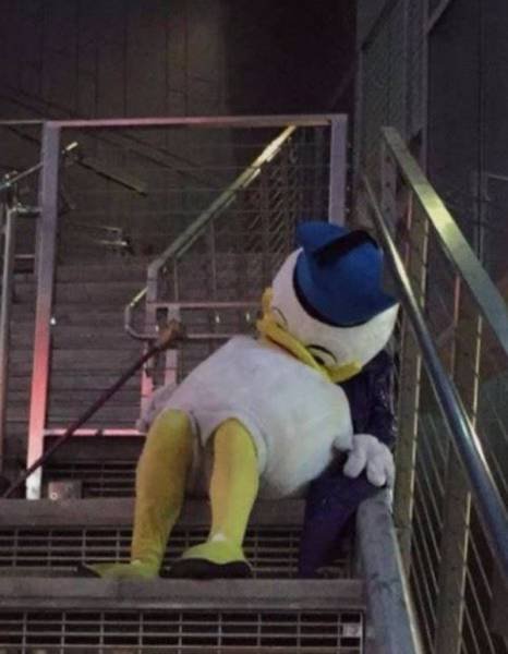 Bildschirmarbeiter - Picdump 20.10.2017