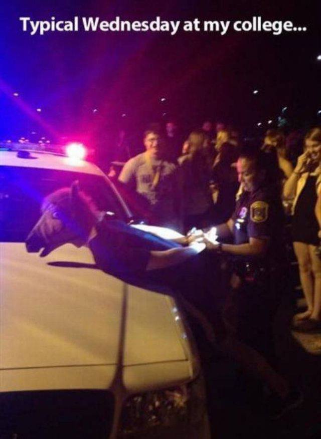 Bildschirmarbeiter - Picdump 20.10.2017