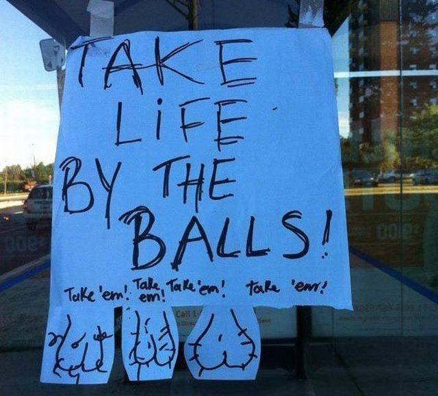 Bildschirmarbeiter - Picdump 20.10.2017