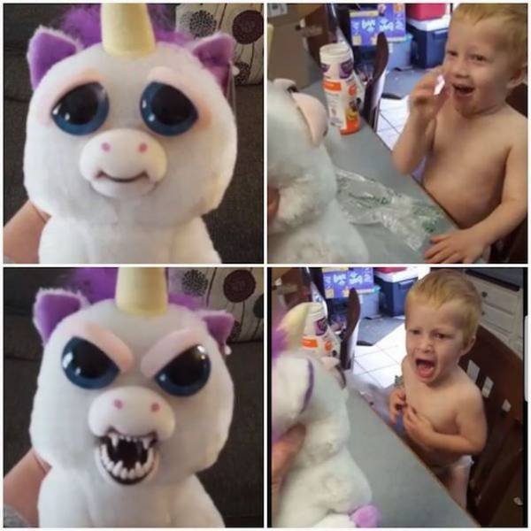 Bildschirmarbeiter - Picdump 20.10.2017