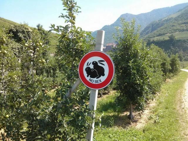 Bildschirmarbeiter - Picdump 20.10.2017