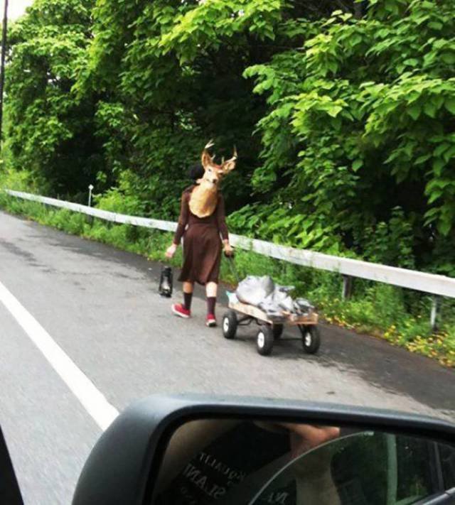 Bildschirmarbeiter - Picdump 20.10.2017