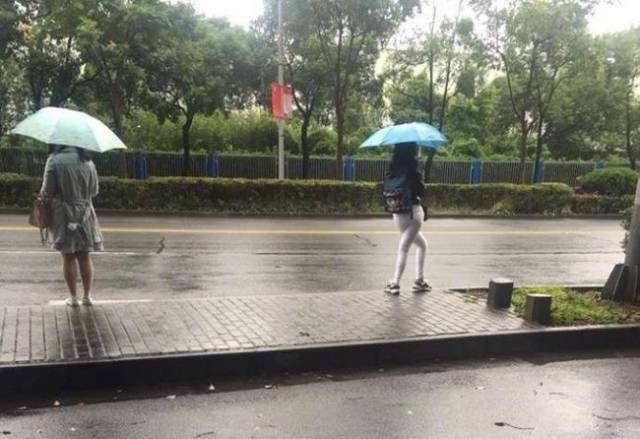 Bildschirmarbeiter - Picdump 20.10.2017