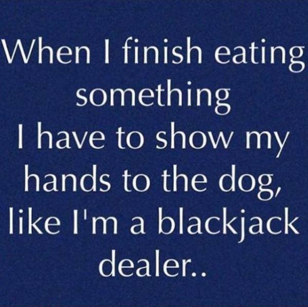 Bildschirmarbeiter - Picdump 20.10.2017