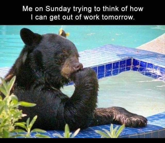 Bildschirmarbeiter - Picdump 20.10.2017