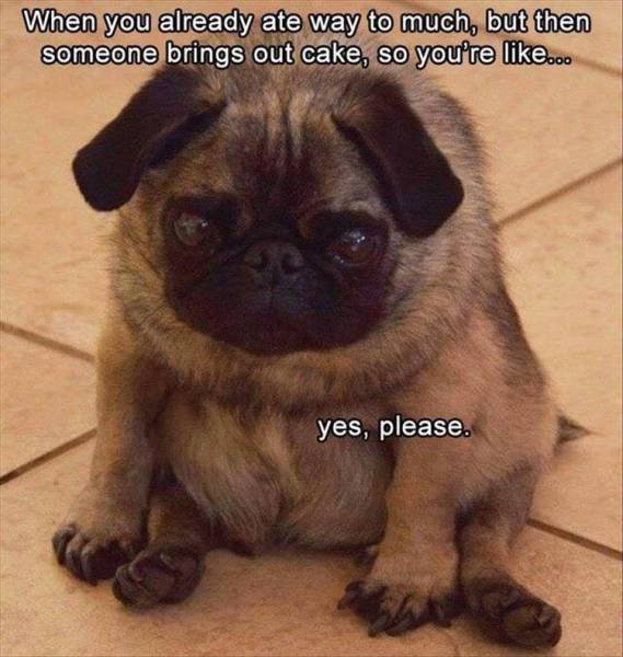 Bildschirmarbeiter - Picdump 20.10.2017