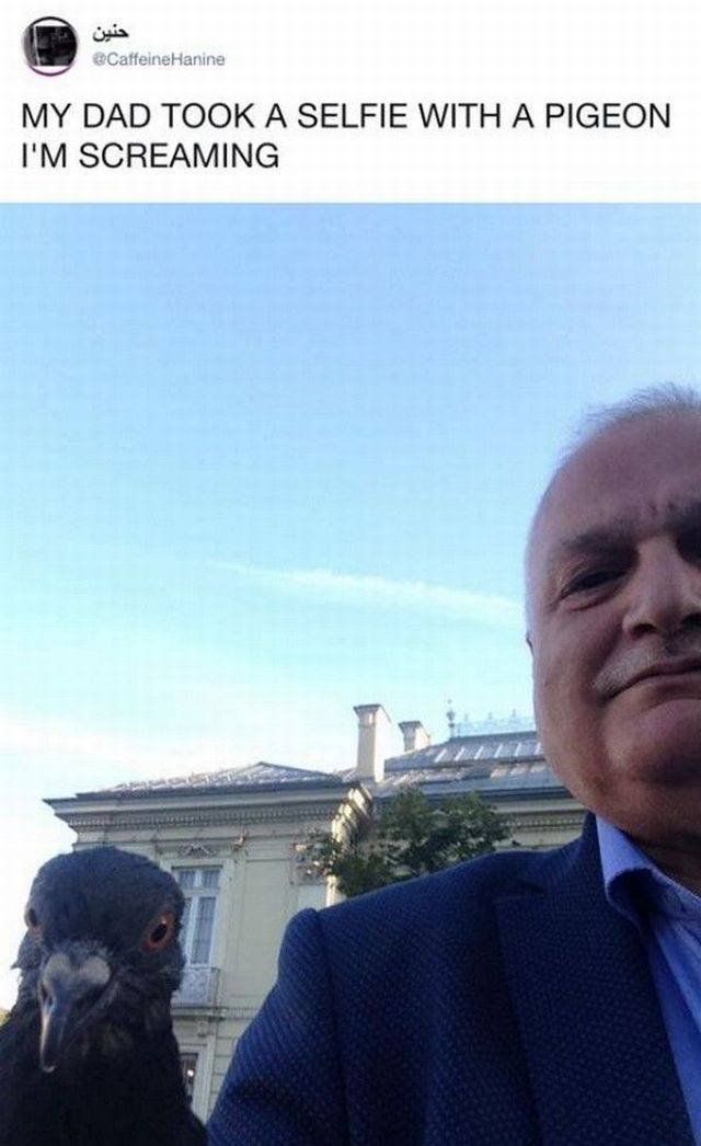 Bildschirmarbeiter - Picdump 20.10.2017