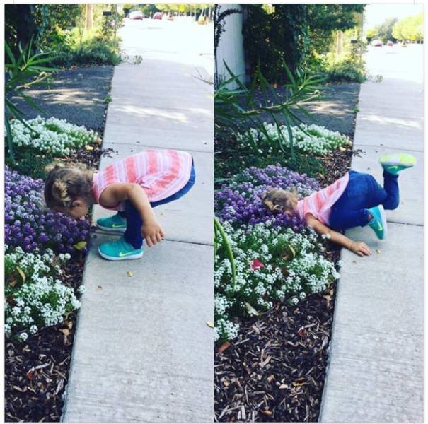 Bildschirmarbeiter - Picdump 20.10.2017