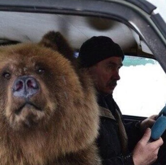 Bildschirmarbeiter - Picdump 20.10.2017