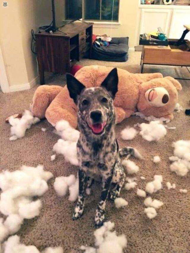 Bildschirmarbeiter - Picdump 27.10.2017