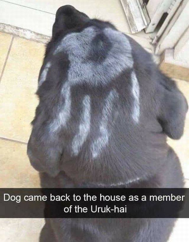 Bildschirmarbeiter - Picdump 27.10.2017