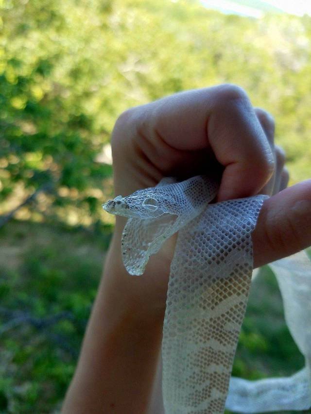 Bildschirmarbeiter - Picdump 27.10.2017