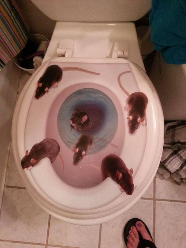 Bildschirmarbeiter - Picdump 27.10.2017