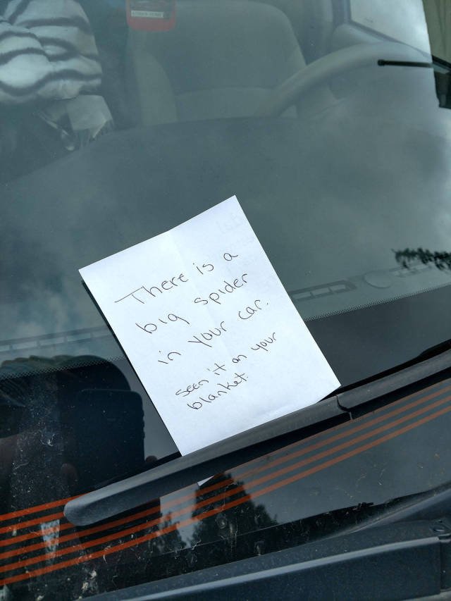 Bildschirmarbeiter - Picdump 27.10.2017