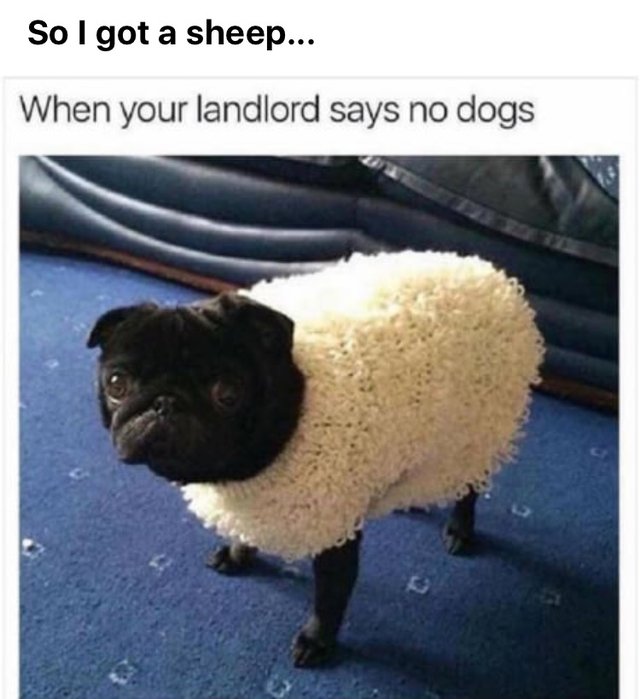 Bildschirmarbeiter - Picdump 27.10.2017