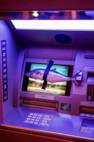 Bildschirmarbeiter - Picdump 27.10.2017