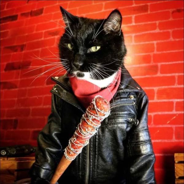 Bildschirmarbeiter - Picdump 03.11.2017