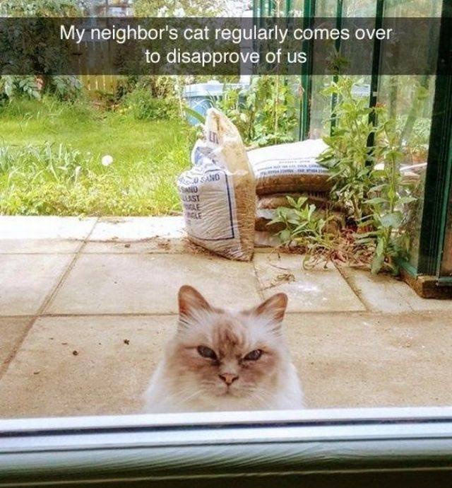 Bildschirmarbeiter - Picdump 03.11.2017