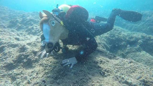 Bildschirmarbeiter - Picdump 03.11.2017