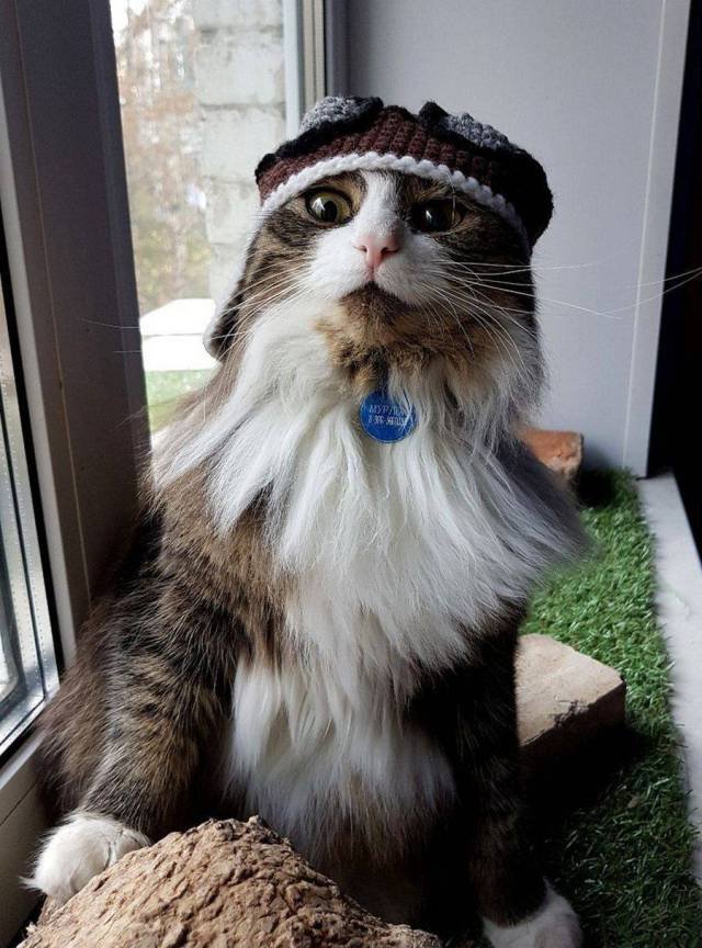 Bildschirmarbeiter - Picdump 03.11.2017