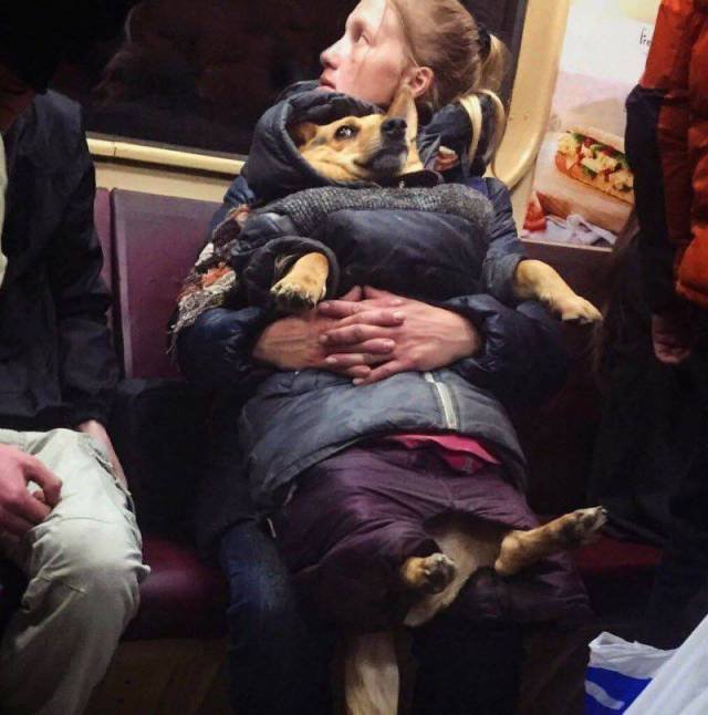 Bildschirmarbeiter - Picdump 03.11.2017