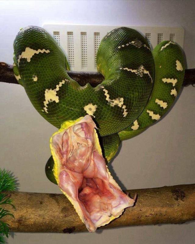 Bildschirmarbeiter - Picdump 03.11.2017