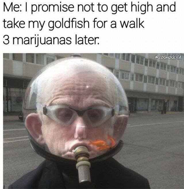 Bildschirmarbeiter - Picdump 03.11.2017